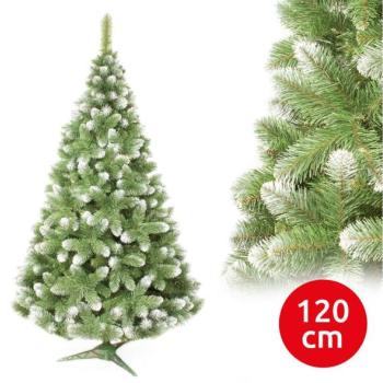  120 cm magas karácsonyfa, fenyőfajta  kép