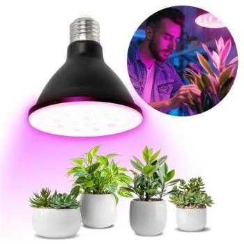 Brilagi LED Növénynevelő izzó VITABLOOM E27/9W/230V 1200K fekete  kép