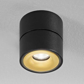 Egger DLS LED mennyezeti reflektor Clippo S, fekete-arany kép