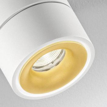 Egger DLS LED mennyezeti spot Clippo S Duo, 2-lámpás, fehér-arany kép