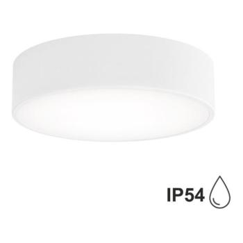  Fürdőszobai mennyezeti lámpa CLEO 2xE27/24W/230V á. 30 cm fehér IP54  kép