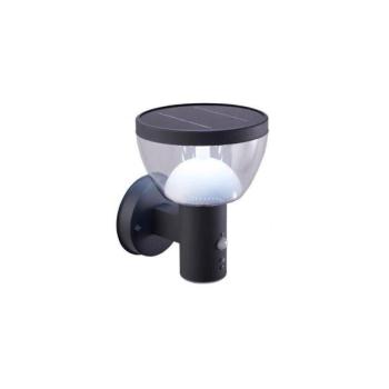 Greenlux LED Kültéri napelemes fali lámpa érzékelővel LARIX LED/3W/3,7V IP44  kép