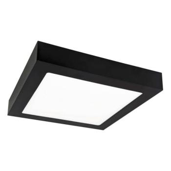 Greenlux LED Mennyezeti lámpa FENIX LED/12W/230V 3800K 17 cm  kép