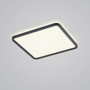 Helestra Vesp LED panel backlight 61x61cm fekete kép