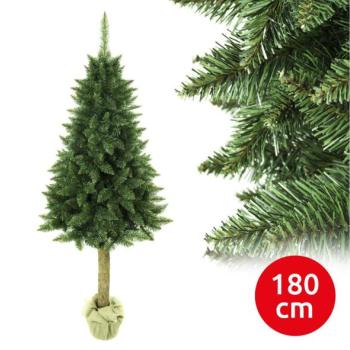  Karácsonyfa tönkön 180 cm fenyőfa  kép
