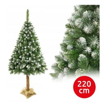  Karácsonyfa törzsön 220 cm fenyő  kép