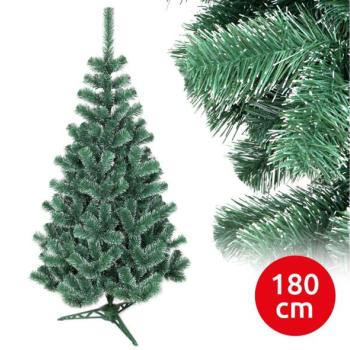  Karácsonyfa WHITE 180 cm borókafenyő  kép