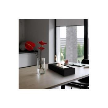 Kratki BIO kandalló INDIA/MAX 10x67 cm 3kW fekete TUV tanúsítvánnyal  kép