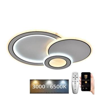  LED állítható fényerejű mennyezeti lámpa LED/40W/230V 3000 kép