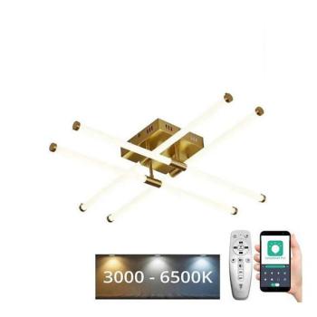  LED állítható mennyezeti lámpa LED/30W/230V 3000 kép
