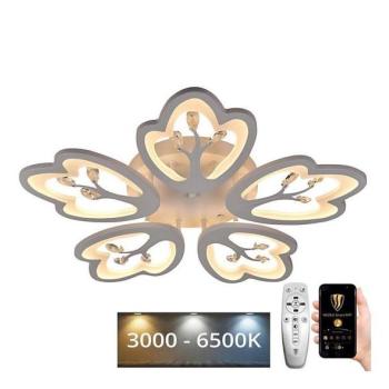  LED állítható mennyezeti lámpa LED/80W/230V 3000 kép