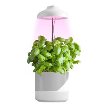  LED Belső lámpa növények termesztéséhez LED/5W/5V 3200K  kép