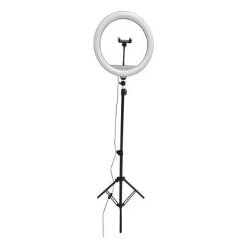  LED Dimmelhető lámpa állvánnyal és tartóval a vlogozáshoz LED/15W/5V 2700 kép