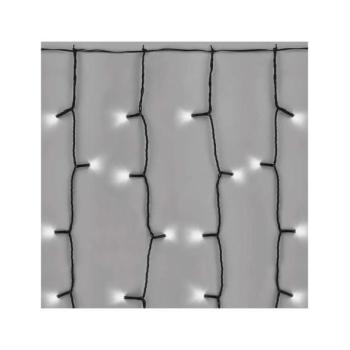  LED Karácsonyi kültéri lánc 100xLED/1x2m IP44 hideg fehér  kép