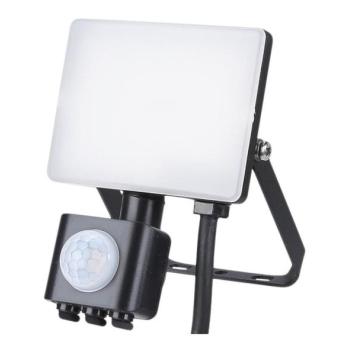  LED Kültéri reflektor érzékelővel LED/10W/230V 5000K IP44  kép