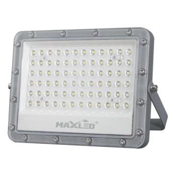  LED Kültéri reflektor LED/100W/230V 5000K IP65 szürke  kép