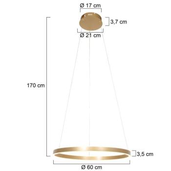 LED lógó világítás Ringlux, Ø 60 cm 2 izzós arany kép