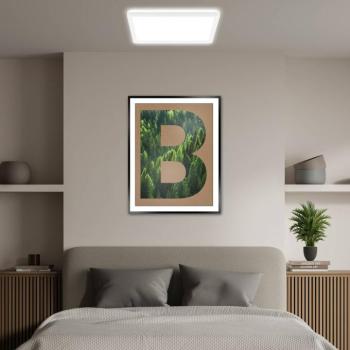LED mennyezeti lámpa Tava A, 29x29 cm, műanyag, fehér kép