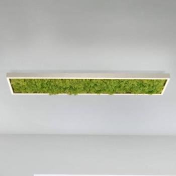 LED mennyezeti világítás Green Knut valódi mohával kép