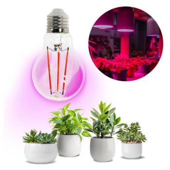  LED Növénynevelő izzó PLANTY E27/8W/230V 1200K  kép
