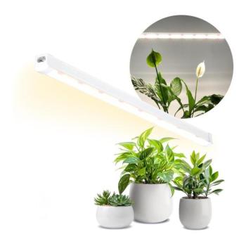  LED növénynevelő lámpa GROWLY LED/15W/230V  kép
