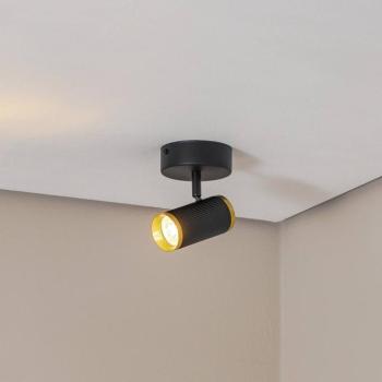 Lume mennyezeti spotlámpa, fekete / sárgaréz színű, magasság 15 cm, vas kép