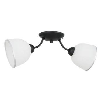  Mennyezeti lámpa AVIA 2xE27/60W/230V  kép