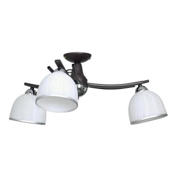  Mennyezeti lámpa AVIA 3xE27/60W/230V  kép