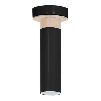 Mennyezeti lámpa PEDRO 1xGU10/25W/230V  kép