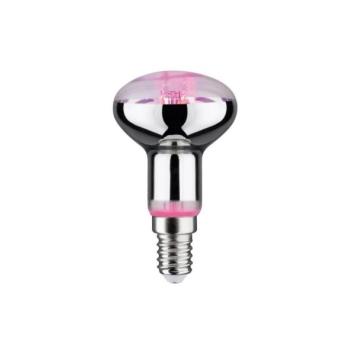 Paulmann LED Növénynevelő izzó GROW ZÖLD R50 E14/4W/230V  kép