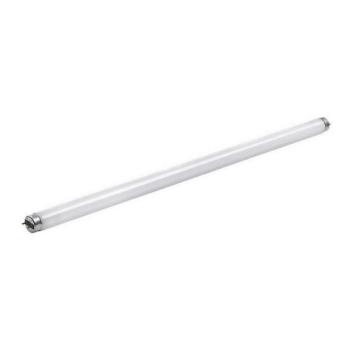 Philips LED Fénycső Philips G13/20W/230V  kép