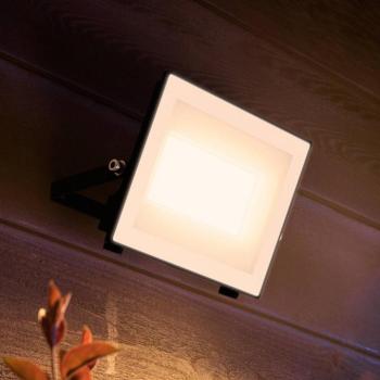 Philips LED kültéri spotlámpa Lois UE flood, 24 W, 3000 K, IP65 kép