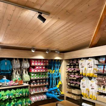 SLC LED spot Meta Pro AI kettős érzékelő, fehér, 3 fázisú sínpálya kép