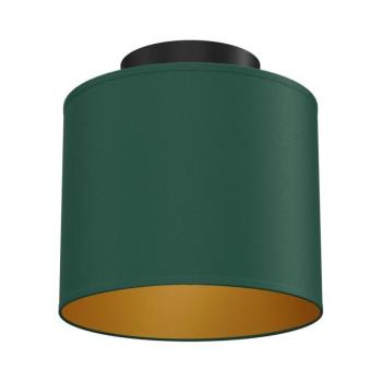 ARDEN mennyezeti lámpa 1xE27/15W/230V, Ø 18 cm, zöld 3734 kép