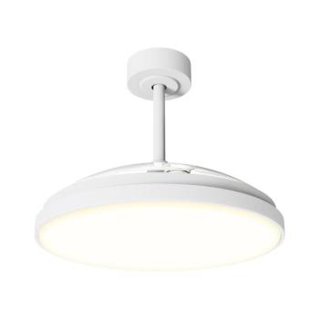 B.V. -LED Fényerőszabályozható mennyezeti látor LED/50W/230V 2700-6500K 106 cm+ távirányító fehér S103033K9 kép