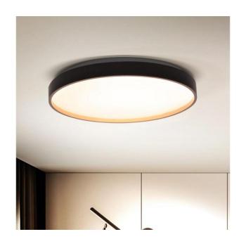 BRILAGI - CALA LED 48W mennyezeti dimmer, 3000-6500K + távirányító WO800-OEM13 kép