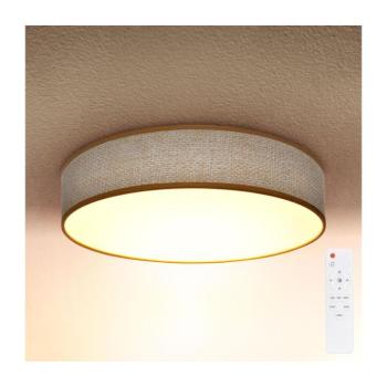 BRILAGI - CARMEN LED 48W 230V állítható mennyezeti lámpa 3000-6500K + DO WO800-OEM4 kép