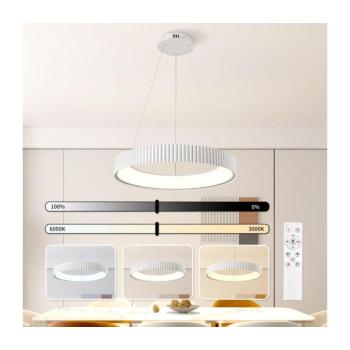 BRILAGI - LED dimmelhető csillár FALCON MODERN LED/54W/230V átm. 60 cm fehér + távirányító BRI969 kép