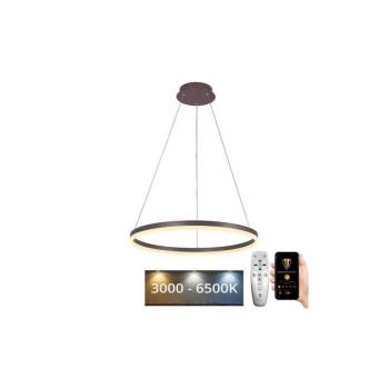BRILAGI - LED dimmelhető kábeles csillár CIRCLE LED/42W/230V 3000-6500K barna+ távirányító BG-J4308/BR kép