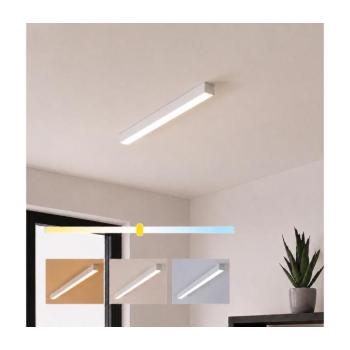 BRILAGI - LED mennyezeti felületre szerelhető lámpatest FULLDAY LED/10/15/20W/230V 2700/4000/6000K fehér BG47308CCT_PW kép