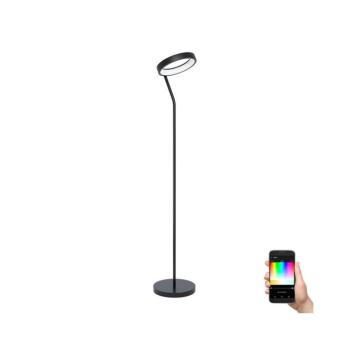 Eglo 900072 - LED RGBW Dimmelhető állólámpa MARGHERA-Z LED/16W/230V 900072 kép