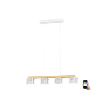 EGLO , 900881 , PORTICO-Z , függeszték , 2700 K 6500 K , LED , 4X3,7W , Dimmelhető , IP20 , fehér, átlátszó kép