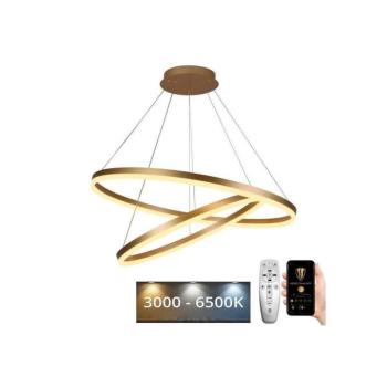 LED állítható fényerejű csillár kábellel LED/100W/230V 3000-6500K + DO J4311/G kép