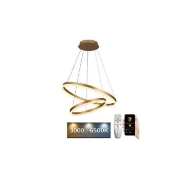 LED állítható fényerejű csillár kábellel LED/70W/230V 3000-6500K + DO J4310/G kép