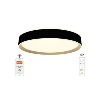 LED állítható mennyezeti lámpa 48W 230V 2700-6500K Wi-Fi Tuya + távirányító LC902MB kép