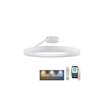 LED állítható mennyezeti lámpa LED/40W/230V 3000-6500K fehér + DO TA1313/W kép