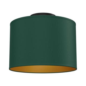 Mennyezeti lámpatest ARDEN 1xE27/15W/230V, átmérő 25 cm, zöld 3735 kép