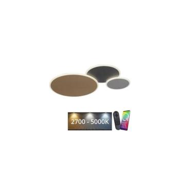 Paul Neuhaus 8007-70-LED Q-PIATO LED/35W/230V 2700-5000K állítható fényű lámpa+D 8007-70 kép
