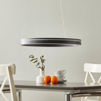 Paul Neuhaus Q-VITO LED függő lámpa 59 cm antracit kép