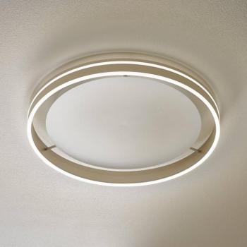 Paul Neuhaus Q-VITO LED mennyezeti lámpa 59cm acél kép